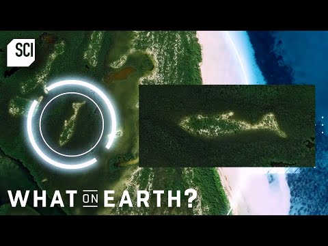 Satellites Discover Shark Shaped Mound In Southern Florida | What On Earth | Science Channel