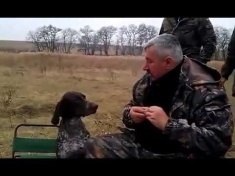 Что носить с алкогольной майкой