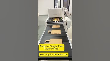 How To Print On Paper Bags | Custom Paper Bag Printing Machine | AntPrint Single Pass Printer