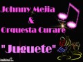 Johnny Mejia y Orquesta Curare