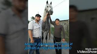 Орловский рысак по клички лизгин