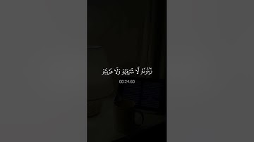 تلاوة خاشعة تخشع لها القلوب بصوت الشيخ ماهر المعيقلي ارح سمعك ♡ #ماهر_المعيقلي