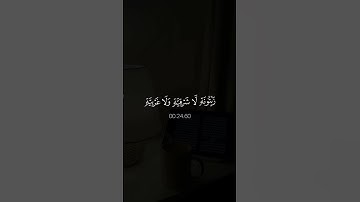 تلاوة خاشعة تخشع لها القلوب بصوت الشيخ ماهر المعيقلي ارح سمعك ♡ #ماهر_المعيقلي
