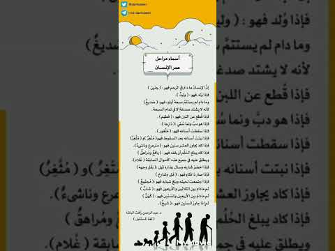 أسماء مراحل عمر الأنسان