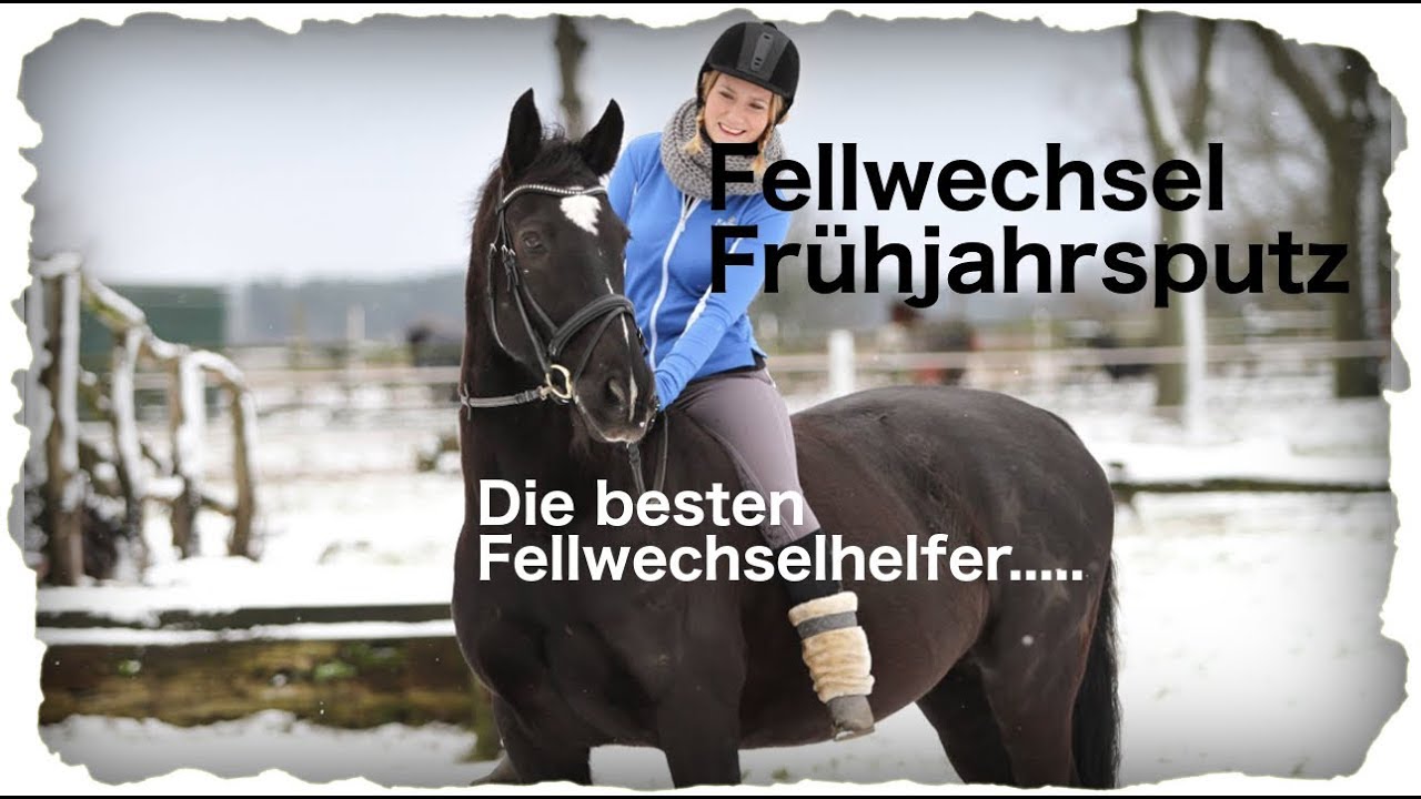 Fellwechsel Frühjahrsputz..... meine liebsten Fellwechselhelfer
