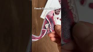 Easy Female Cincta Silk Moth Paper Craft Build #papercraft #moth