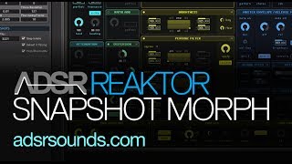 NI Reaktor - Automated Snapshot Morphing, Part II - How to Tutorial