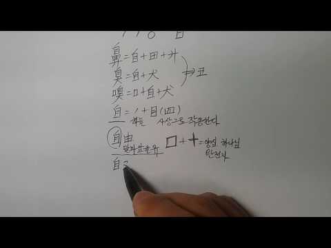 『하늘을 품은 한자, 주역으로 풀다』 제47강 - 스스로 자 / 임병학 교수