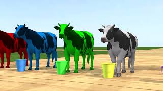تعرف على  أسماء الألوان مع البقرة للاطفال Learn about colors with the cow for children