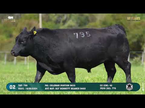 LOTE 002