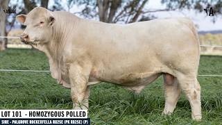 LOT 101 : ASCOT VORTEX V182E AI ET P