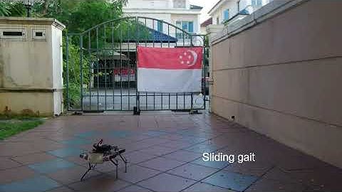 Stanford pupper project