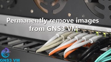 How to permanently remove images from GNS3 VM