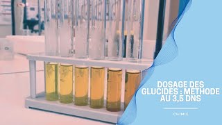 Dosage spectrophotométrique du glucose - méthode au 3,5 DNS