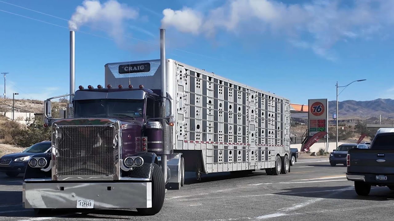 Truck Spotting USA, non-stop highway sights & sounds in Arizona, Peterbilt, Kenworth and others