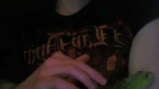 Timeroutter Update On Everything