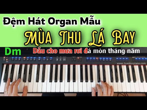 Video MÙA THU LÁ BAY - Đệm Hát Organ Mẫu | Cách Học Đơn Giản... - YouTube