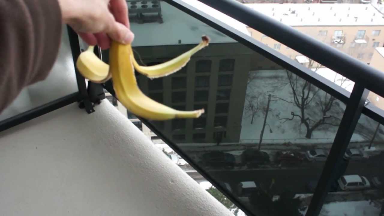 Frozen banana peel experiment YouTube