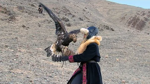 How did an Oklahoma woman start hunting with eagle...