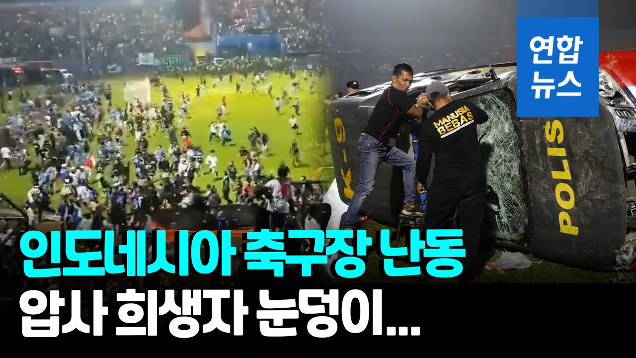 이태원 참사] 사람들이 많이 모이는 것만으로도 치명적일 수 있는 이유 \u0026 군중난류에 어떻게 대처해야 할까? : 네이버 블로그, image size:1280x720