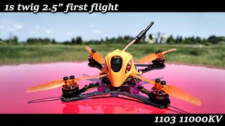 1s twig 2.5 inch | 1103 11000kv | First flight