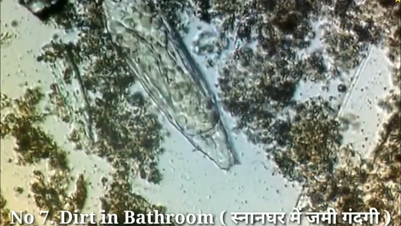 Bathroom Dirt Under The Microscope YouTube