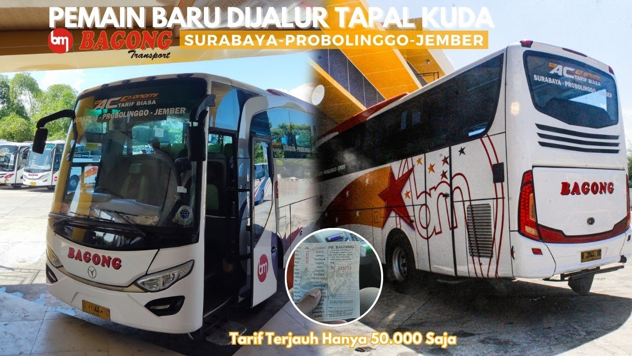 BAGONG Menggemparkan Jalur Tapal Kuda!! Trip Bersama Bagong Jember Surabaya Tarif Hanya 50.000 Saja