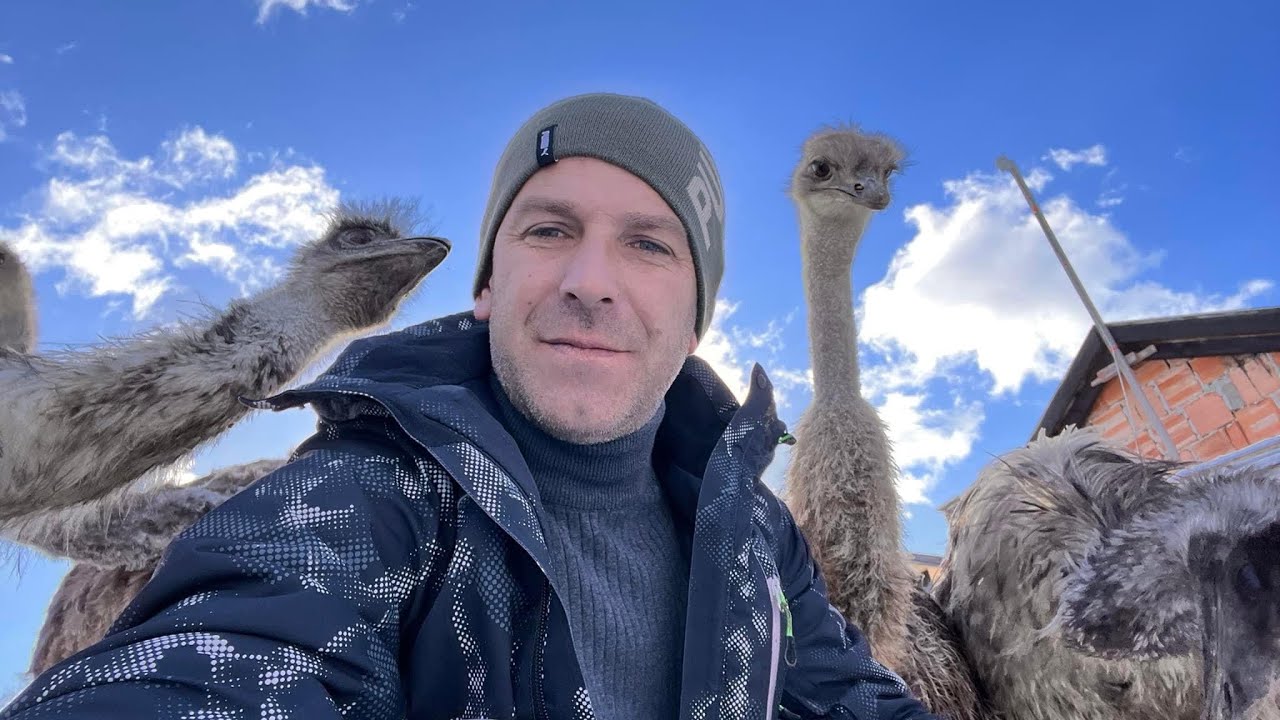 MOJE VELIKE PTICE VISOKE SU ČAK TRI METRA