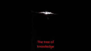 Strange Phenomenon in The Sky | Discover The Tree of Knowledge