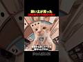 新しいカメラで猫を撮ってみたｗ