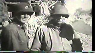 Red Bull Attacks WWII
