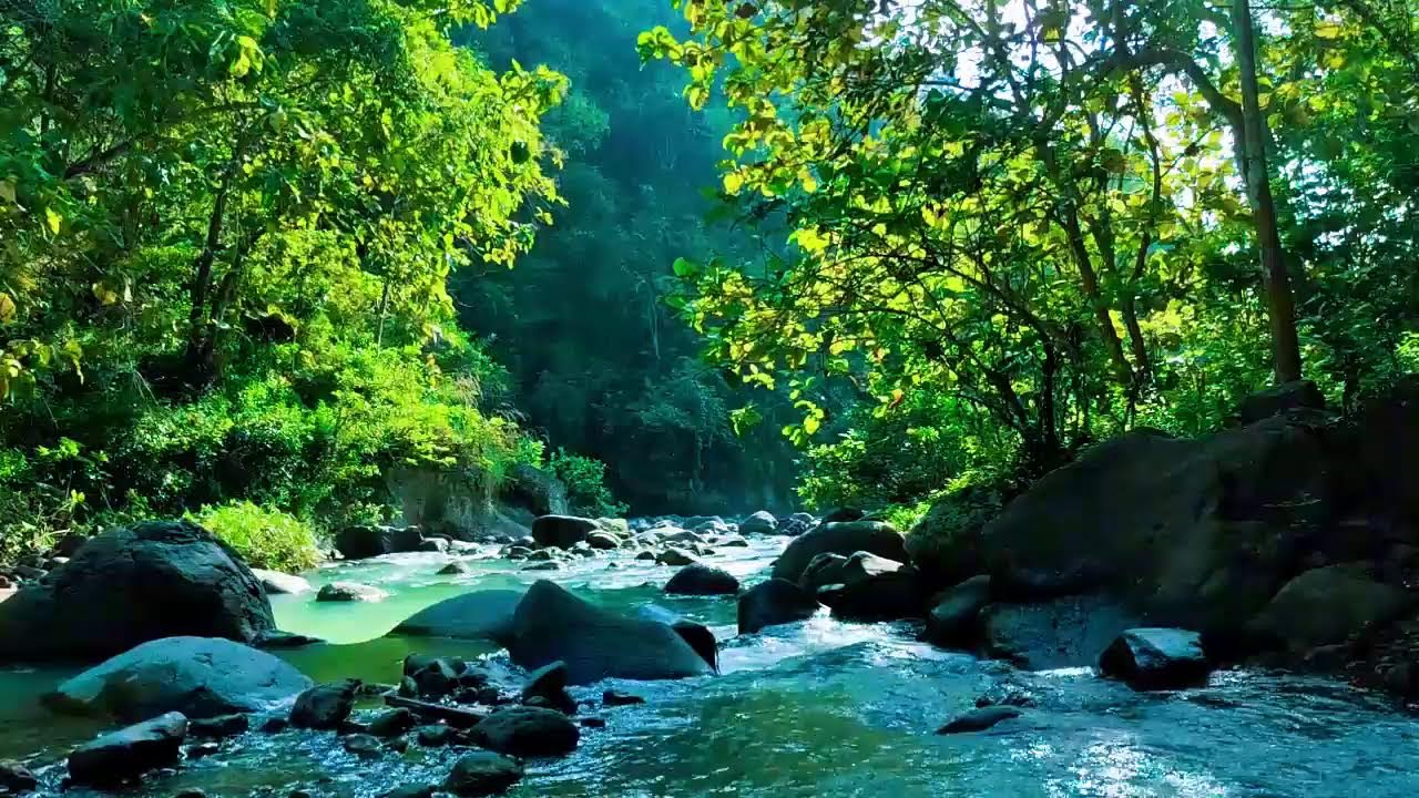 Nature’s Pulse – River Flow for Focus, Sleep, and Healing | Sacred Stream Echoes