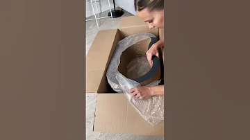 Выбор дня: коробка или когтеточка? 😅 #shorts
