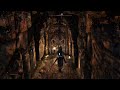 Skyrim PS5 Modded gameplay Pt.4