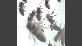 Famous All the Things Profile