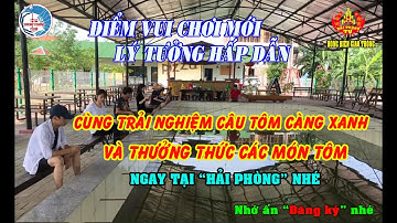 TRẢI NGHIỆM CÂU TÔM CÀNG XANH KHỔNG LỒ LẦN ĐẦU TIÊN CÓ TẠI HẢI PHÒNG - THÚ CHƠI MỚI LẠ... VÀ CÁI KẾT