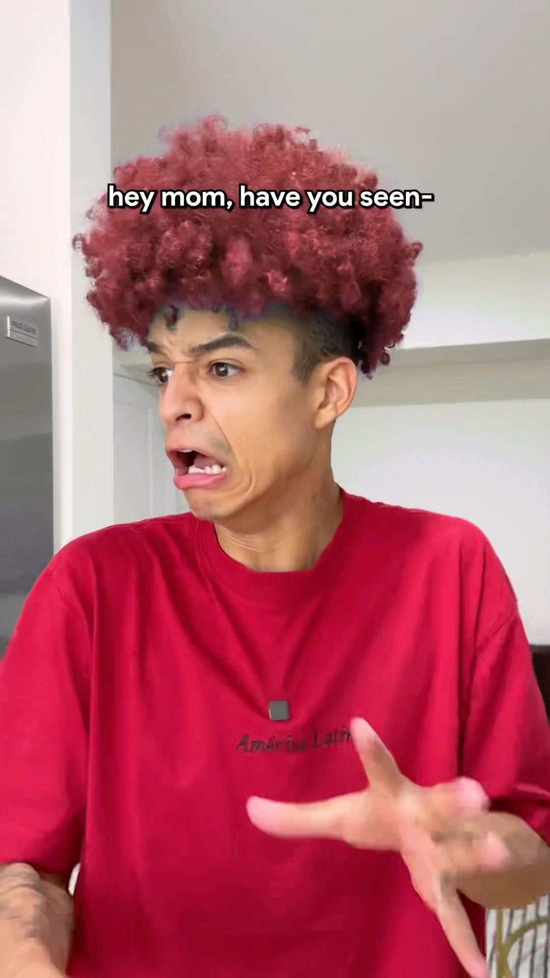 WHEN YOU SEE A SPIDER