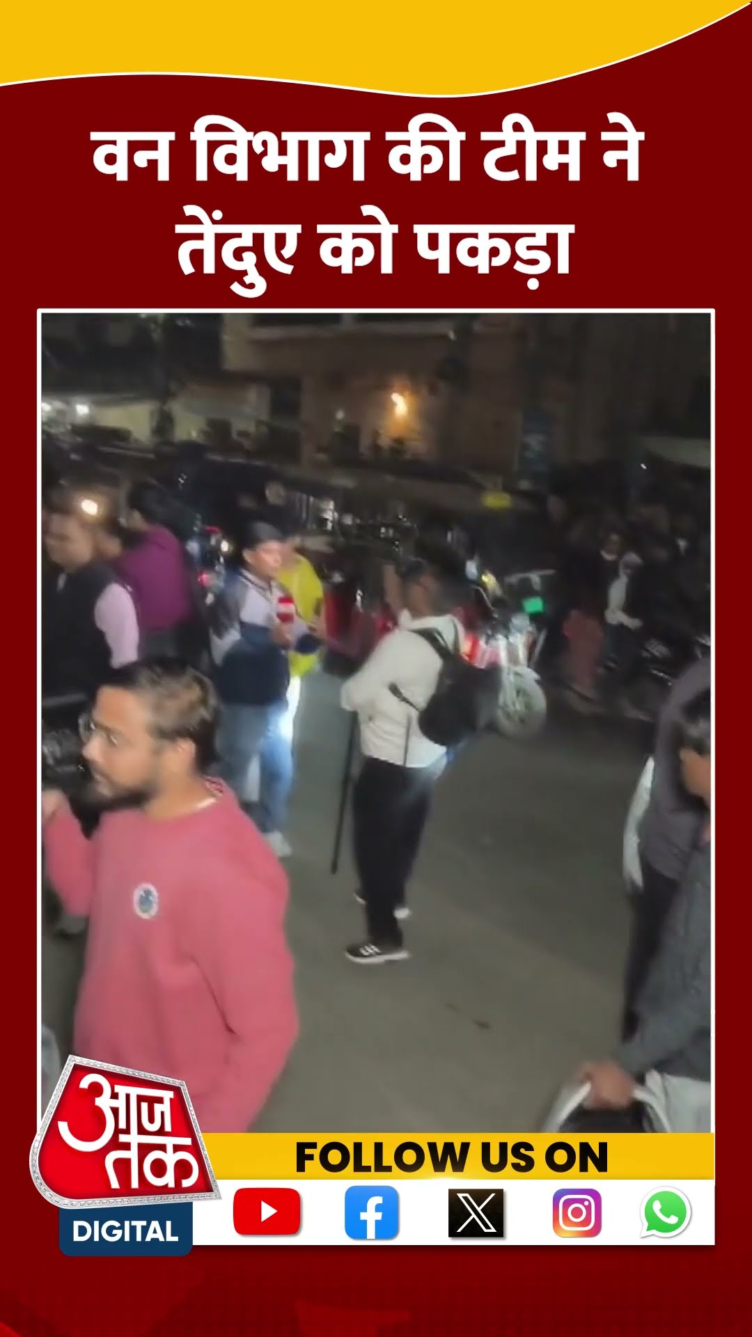 Assam में वन विभाग की टीम ने Leopard को पकड़ा #shorts #shortsvideo #viralvideo #aajtak