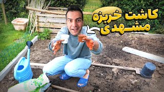 خربزه مشهدی ها رو کاشتم - ولاگ با کله پاچه! by Abed Naseri 30,713 views 13 days ago 22 minutes
