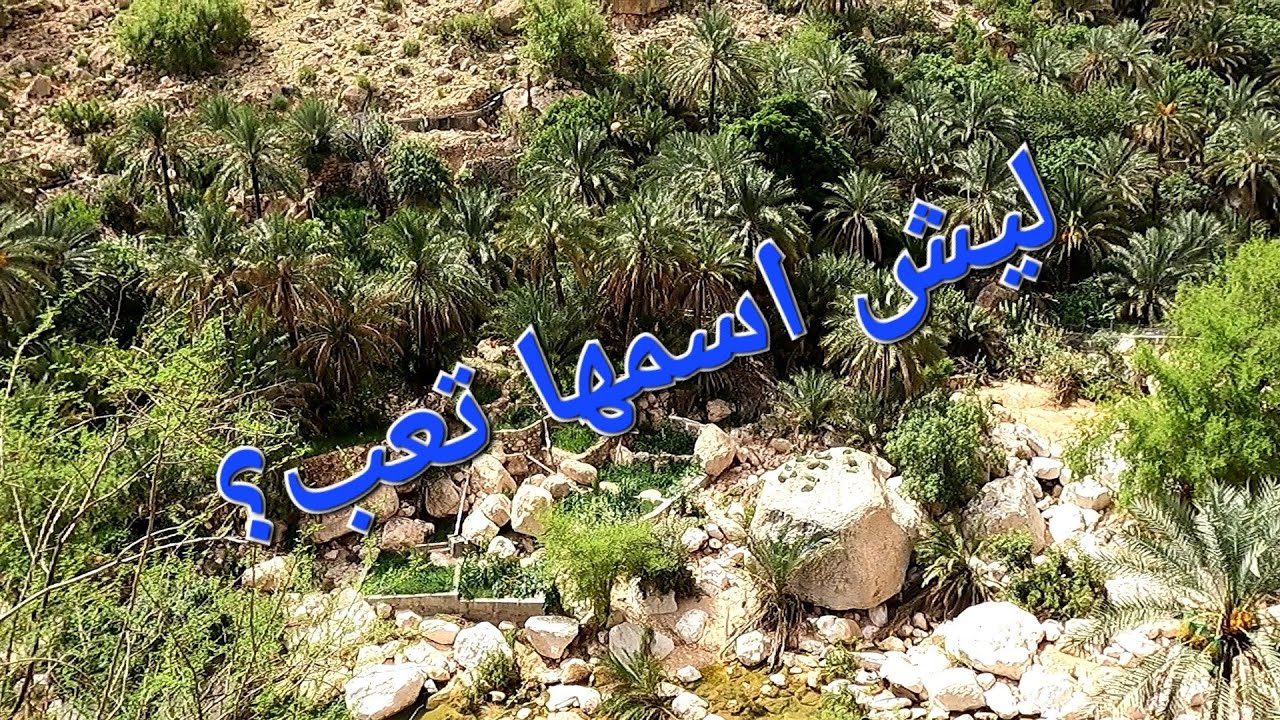 مسارات عمان 23 ( قرية تعب )