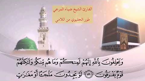 الحليوي بصوت القارئ ضياء المرعي