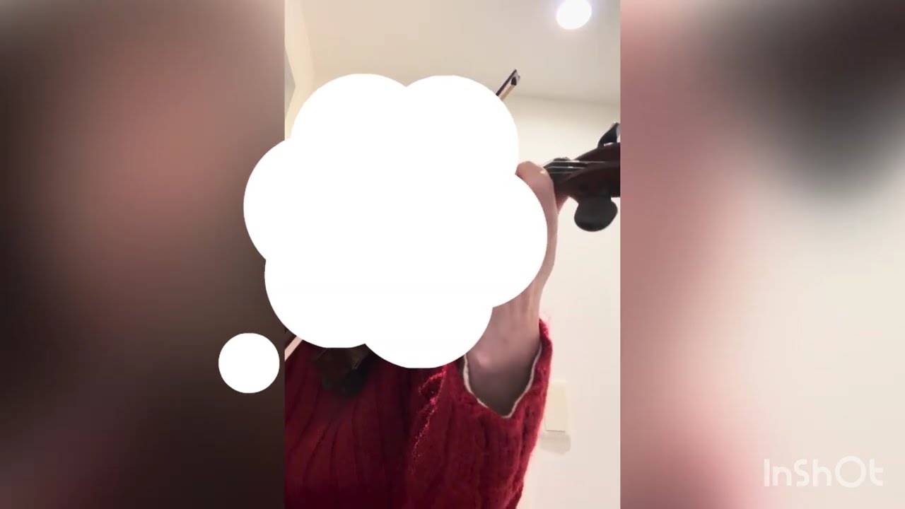 練習動画　バイオリン　1st violin, ブラームス　Symphony No. 1, 4th mov　序奏、　