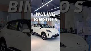 2025 New Bingo S Suv Will You Choose This One  compactsuv wuling automobile evcar automobile