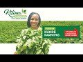 Focus On Kunde Farming Kilimo Na Biashara