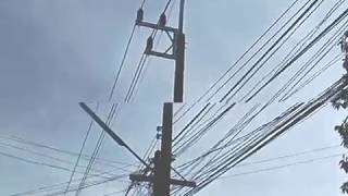 Download Lagu ลมเปลี่ยนทิศ - BIG ASS [Cover by wasu.a,ironmind] MP3