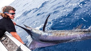 Fishing For Striped Marlin & Dolphinfish