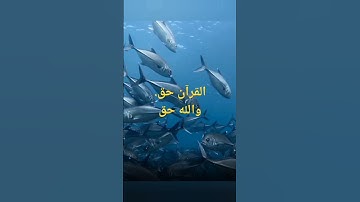 وَمَا يَسْتَوِي الْبَحْرَانِ هَٰذَا عَذْبٌ فُرَاتٌ سَائِغٌ شَرَابُهُ وَهَٰذَا مِلْحٌ اية12 سورة فاطر