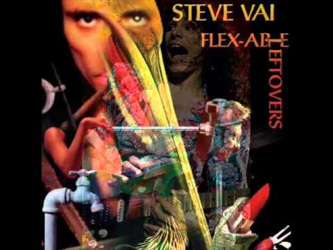 Steve Vai Fuck Yourself 20