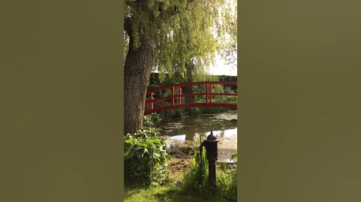 Summer Garden Moments