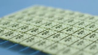 Celebrity Computer chip shortage creating problems for the auto industry Profile